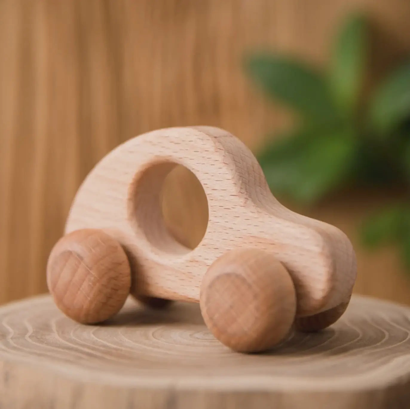 Montessori Wooden Light Car