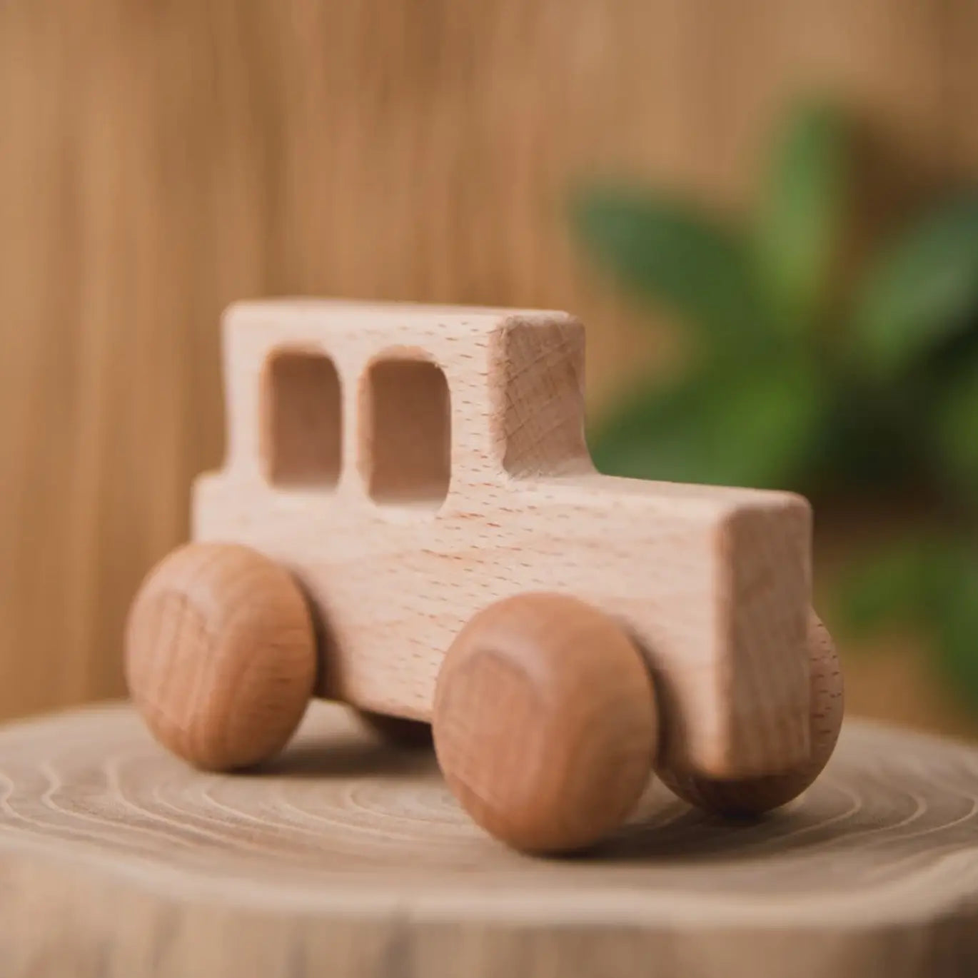  Montessori Wooden Locomotive