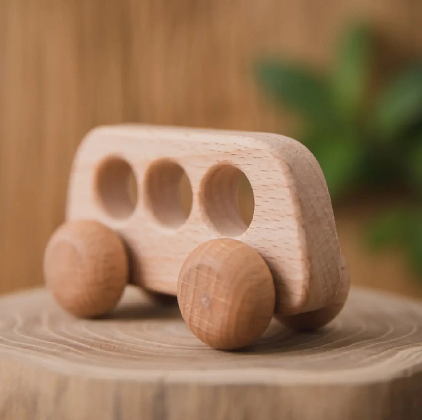  Montessori Wooden Van