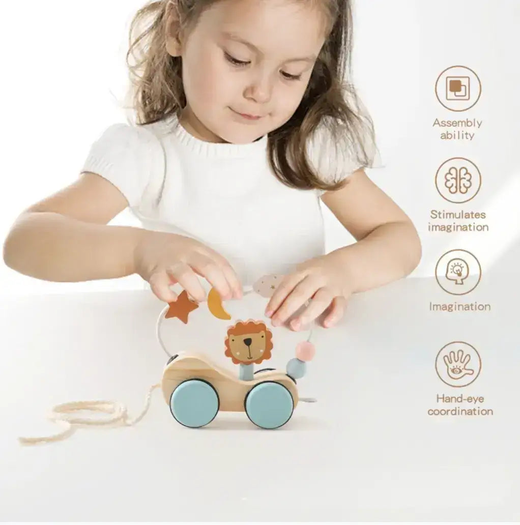 Montessori  Block Train