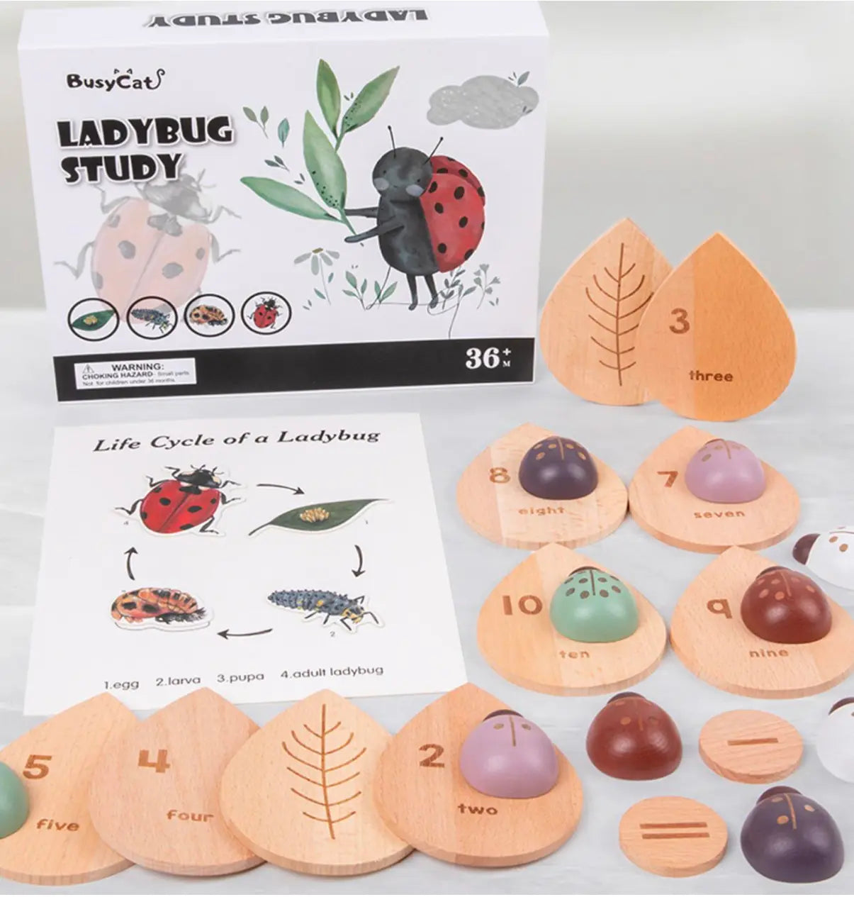 Montessori Wooden Ladybug Math Pairing Set - Little Aron