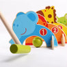 Montessori Science Learning Toys