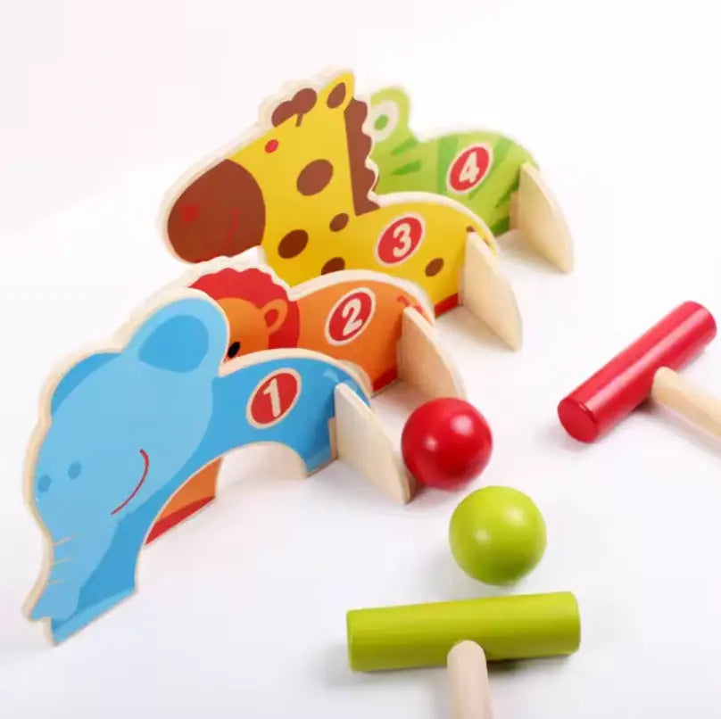Montessori Science Learning Toys