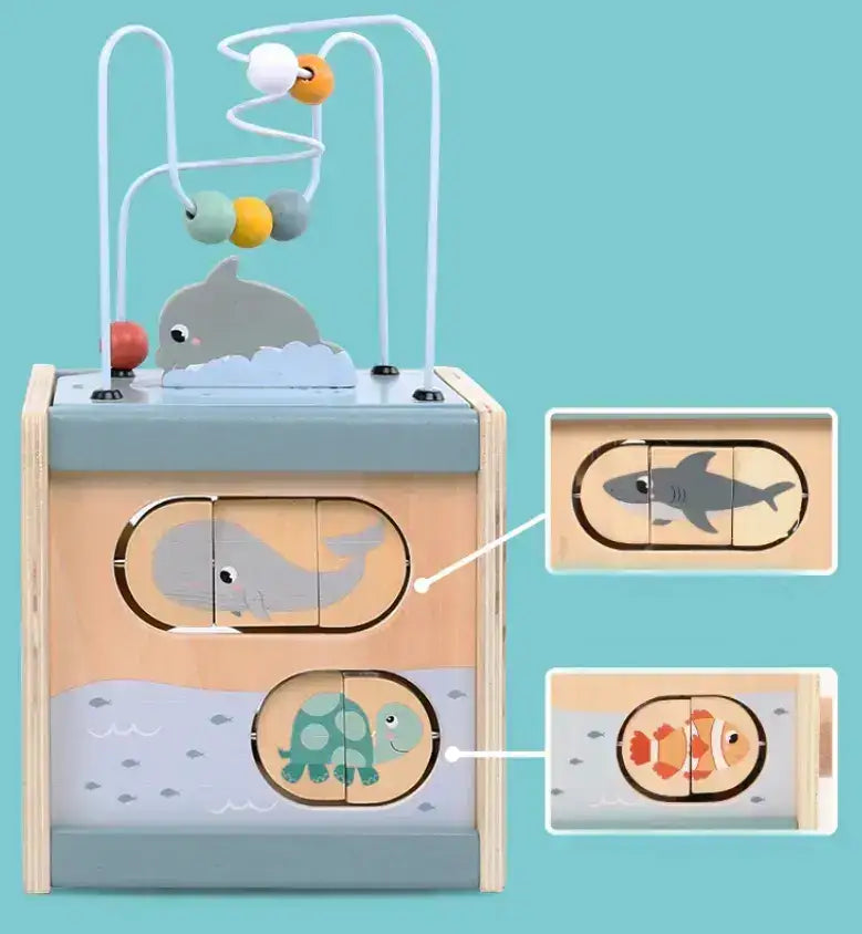 Montessori 5-in-1 Complete Activity Cube Little Aron
