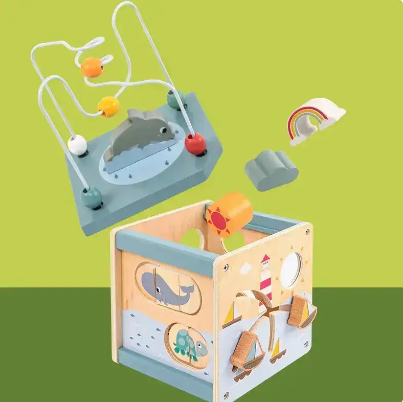 Montessori 5-in-1 Complete Activity Cube Little Aron
