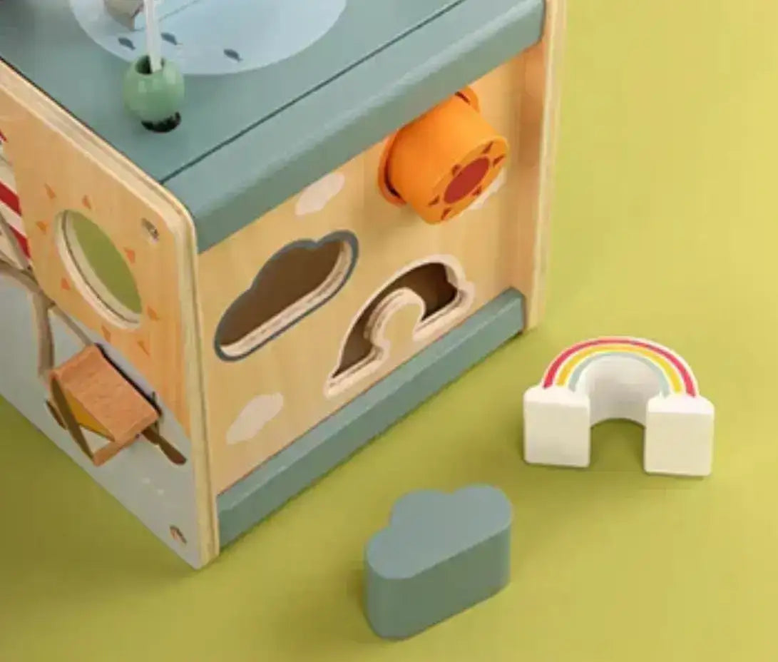 Montessori 5-in-1 Complete Activity Cube Little Aron