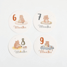 Montessori Baby Toys