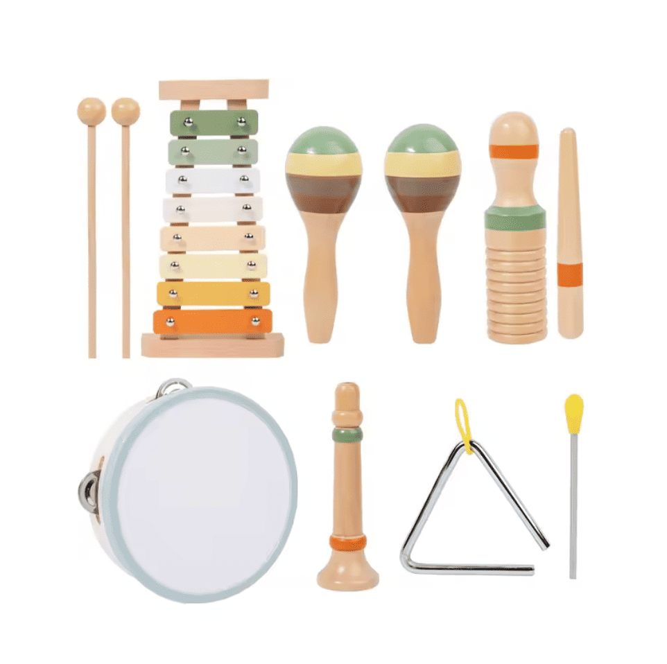 Montessori Education Instrument Complete Activity