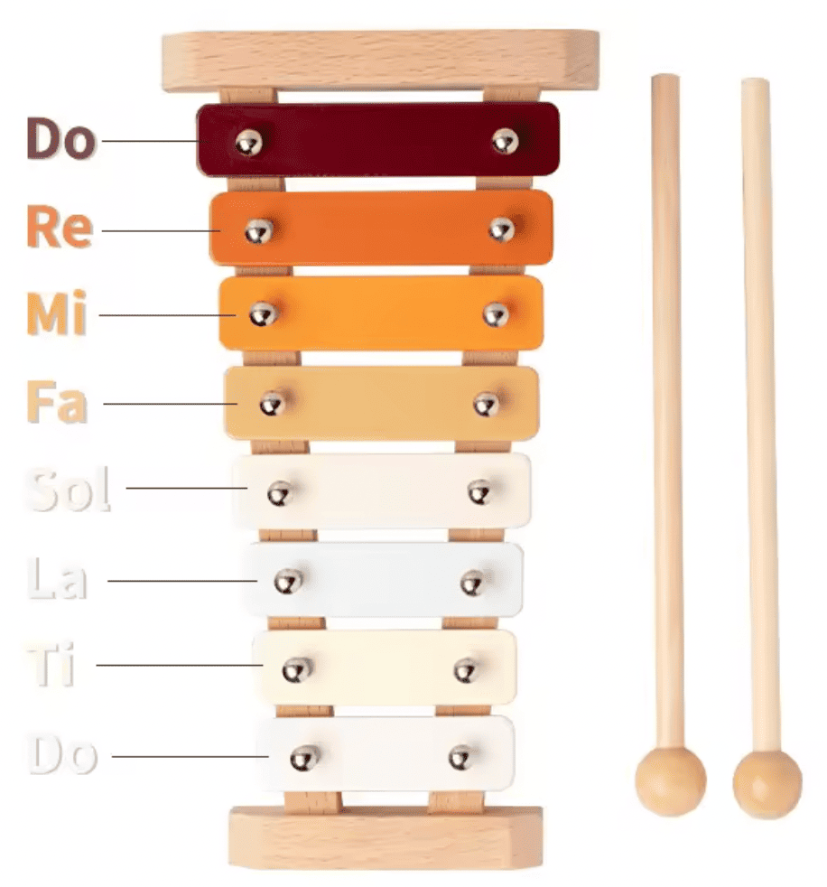 Montessori Education