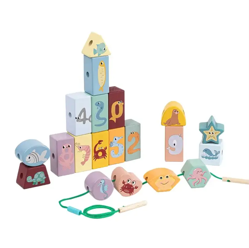 Montessori Wooden Toys