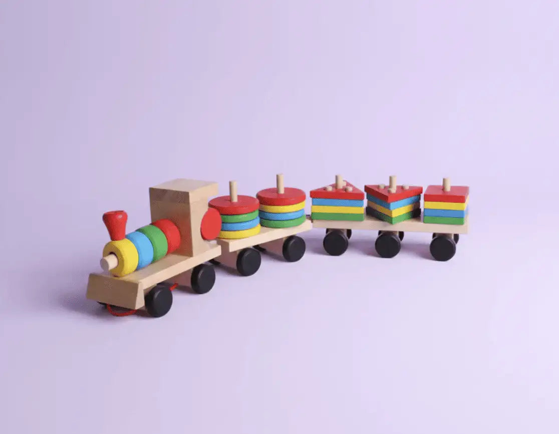 Montessori Shape Pairing Mini Train - Little Aron