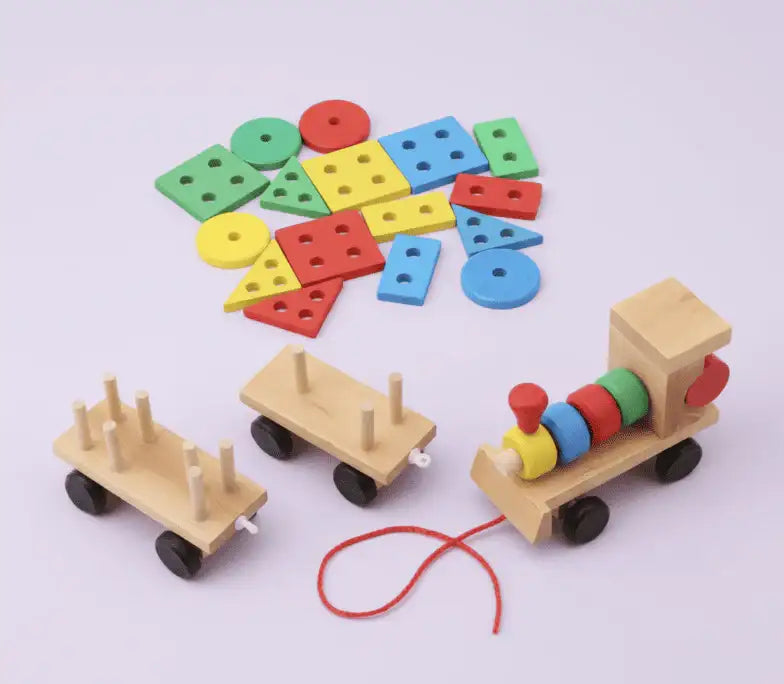 Montessori Shape Pairing Mini Train - Little Aron