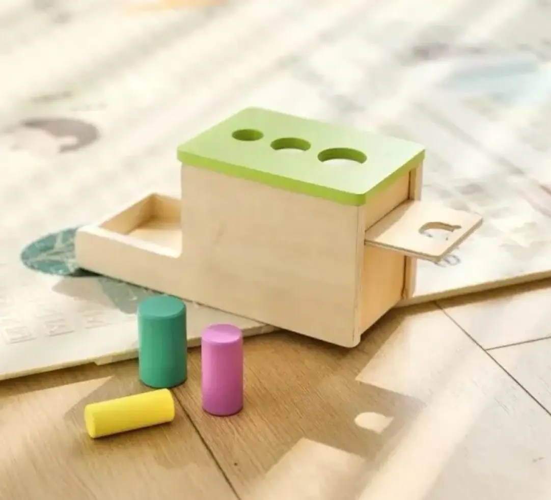 Montessori Wooden Peg Drop Complete Activity
