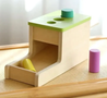 Montessori Wooden Peg Drop Complete Activity