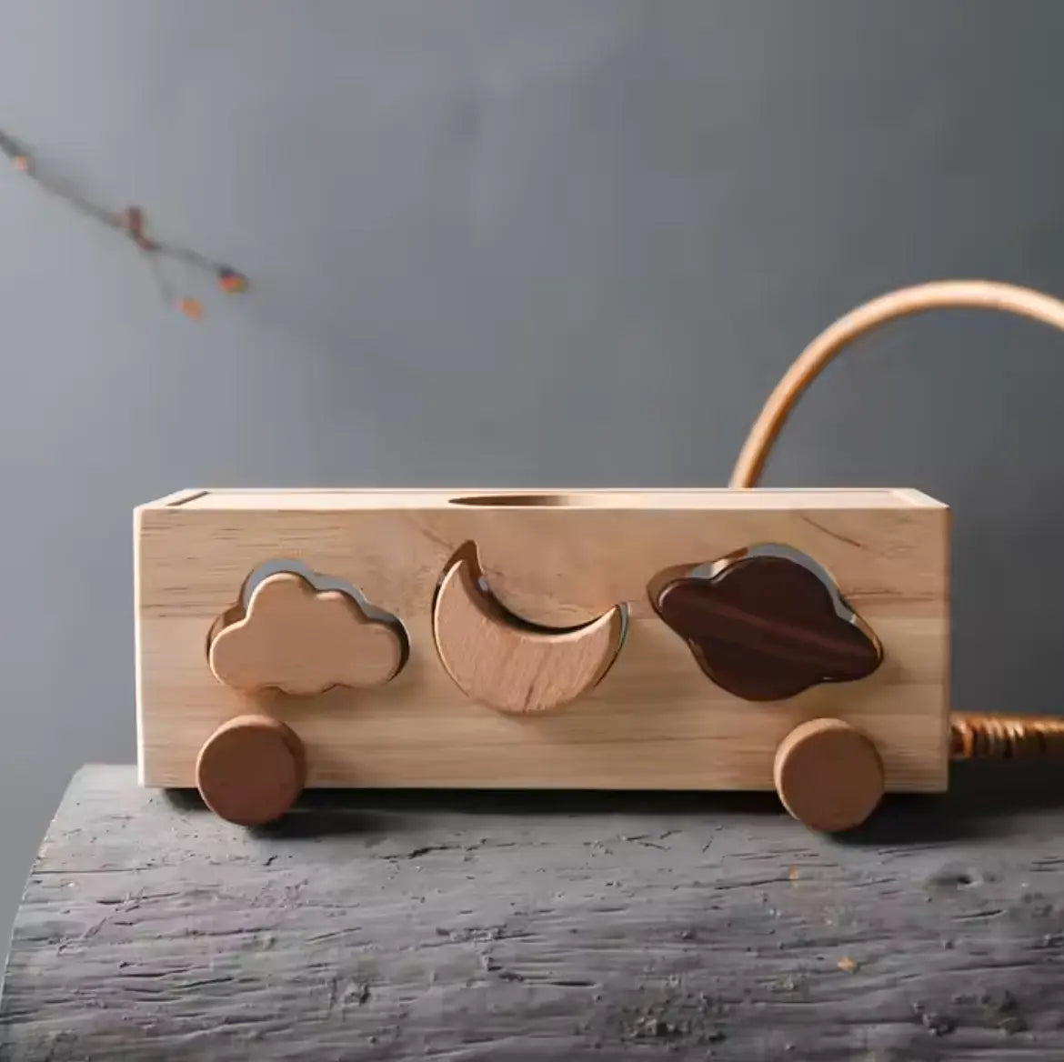 Montessori Wooden Animals & Weather Learning - Little Aron