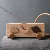 Montessori Wooden Animals & Weather Learning - Little Aron