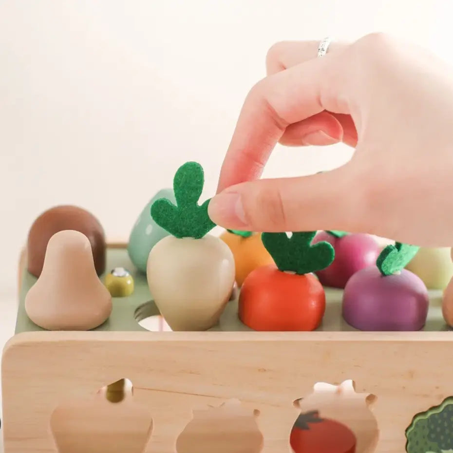 Montessori Radish Pulling - Little Aron